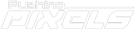 White PP Logo